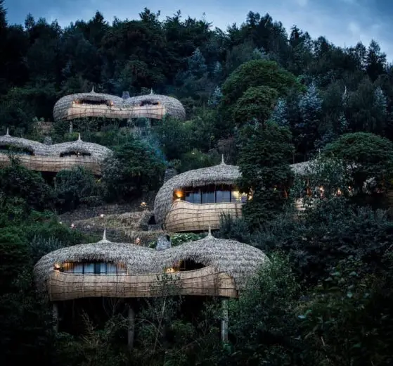 Wilderness Safari Rwanda