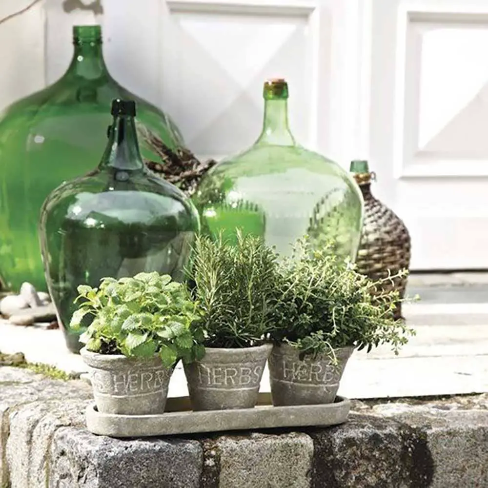 Pots de petites plantes avec jarres en cristal dans une terrasse extérieure - Decorazine.fr